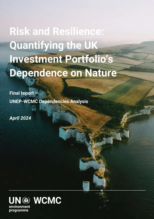 RQR-Dependencies-Analysis-1024x1452