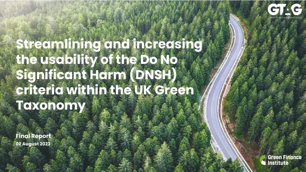 GTAG-Final-Report-on-DNSH1024_1-1024x576