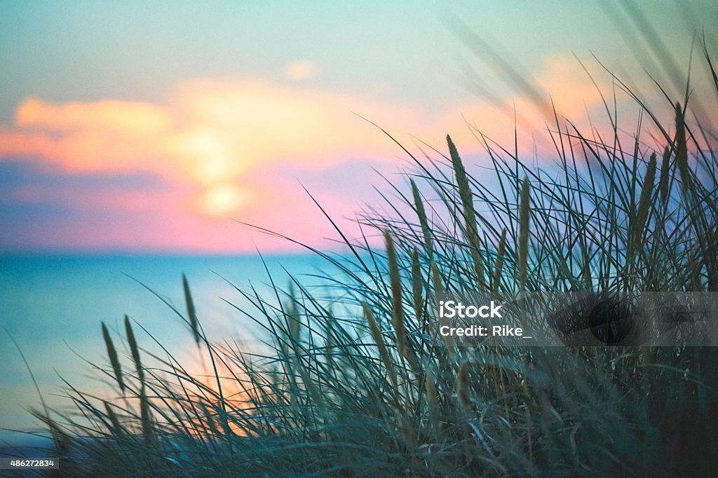 Green Finance Institute