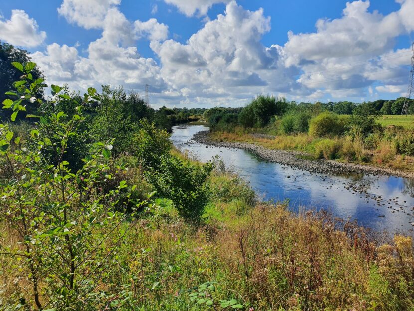 Image-for-newsletter-830x623