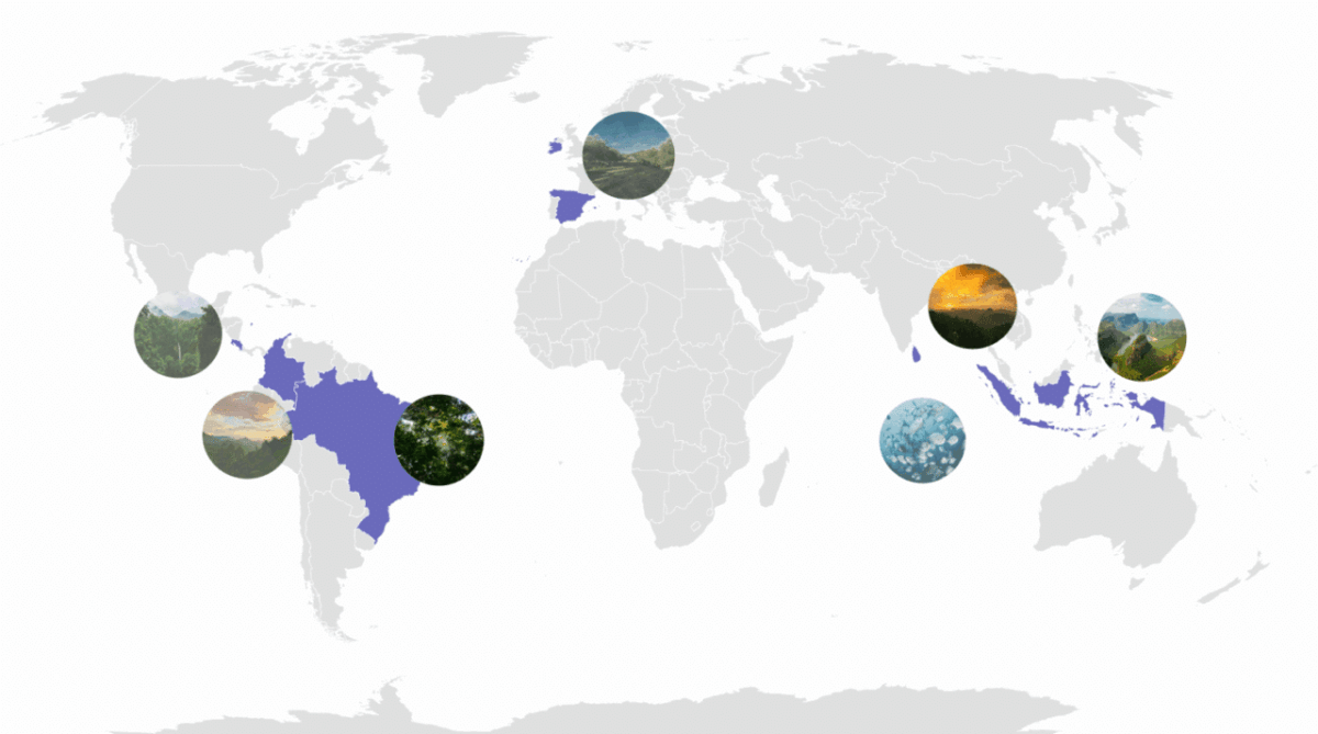 IP-partners-1200x669