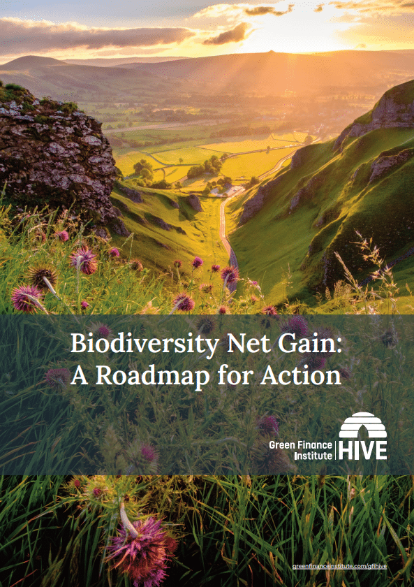 Full-Roadmap-1-1024x1451