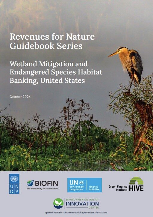 Wetland-Mitigation-US-cover-1024x1449
