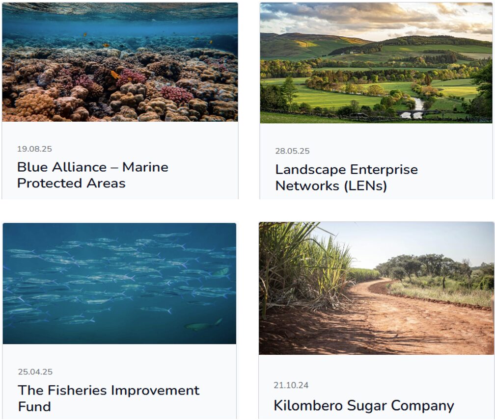 Case-studies-thumbnails-1200x1019