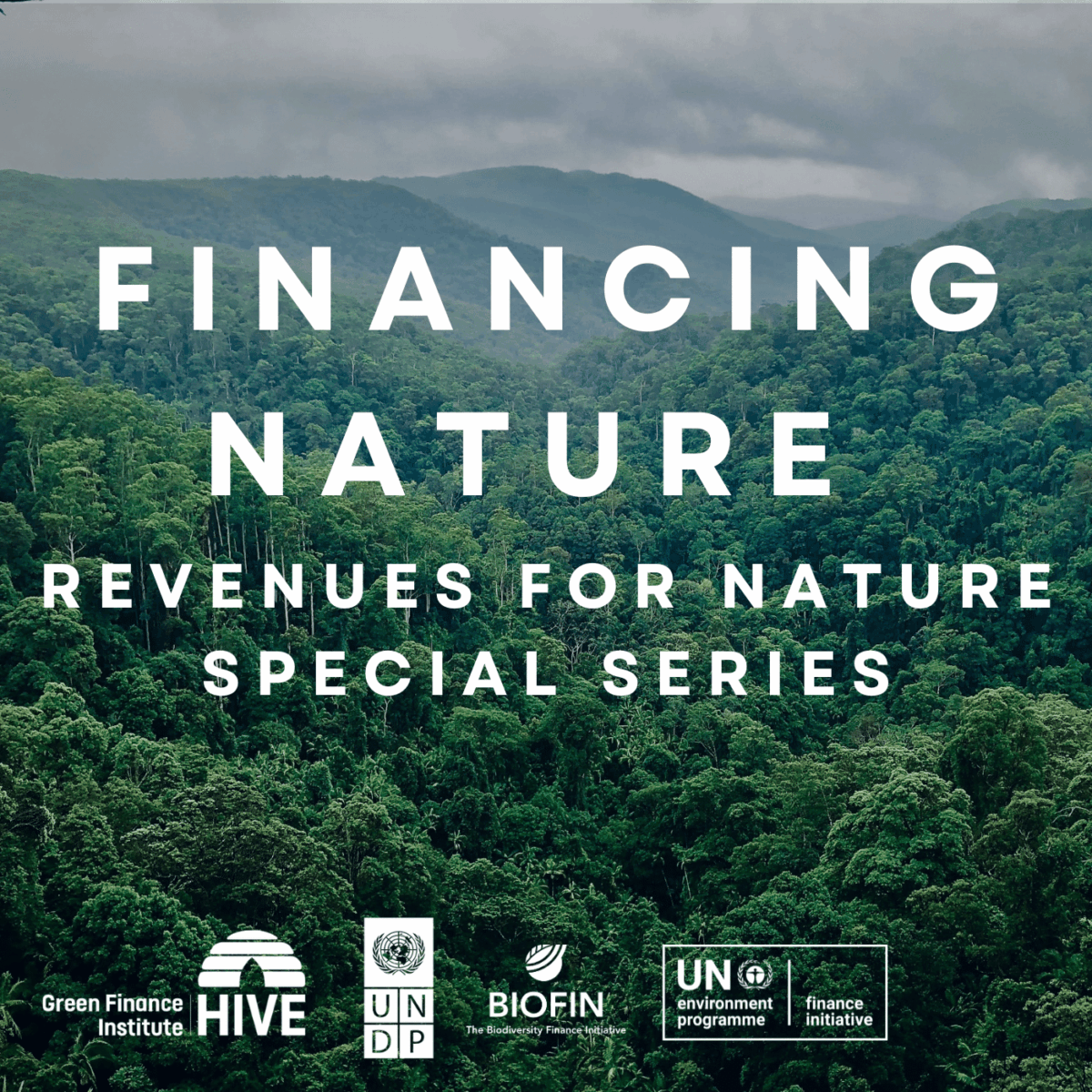 R4N-Special-Series-1-1200x1200