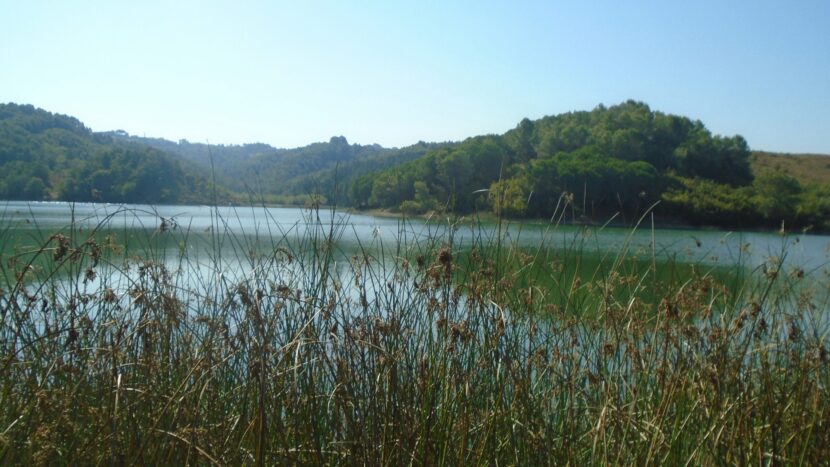 fli-hi-0QV34oC8Ye4-unsplash-scaled-830x467