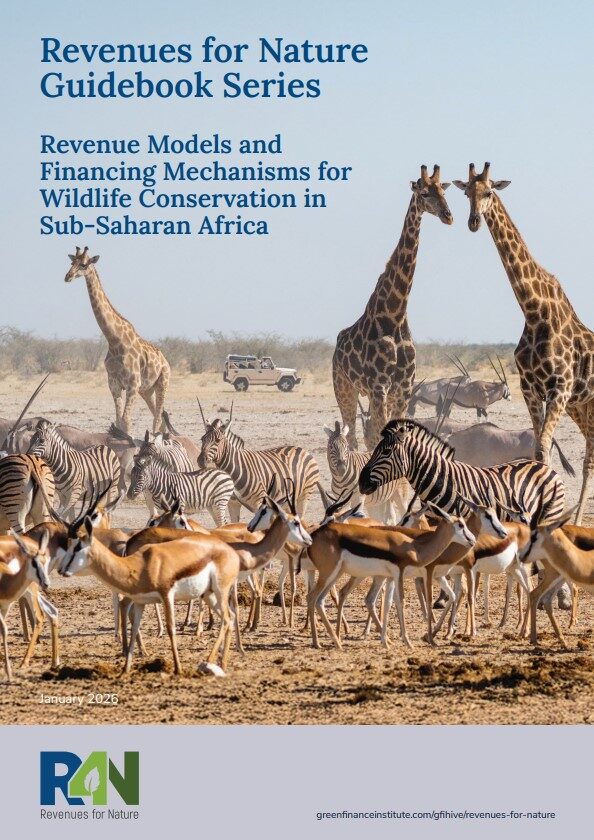 R4N-Wildlife-1024x1448