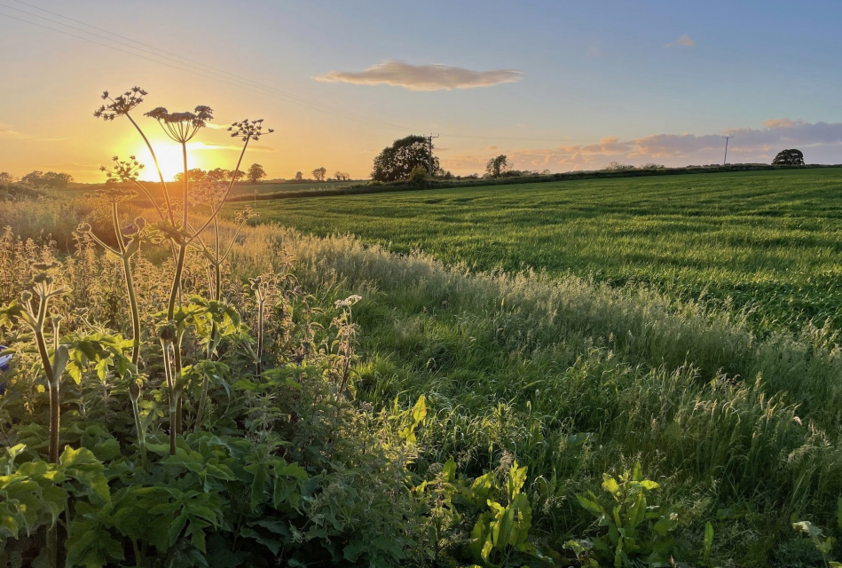 How-to-Guide-3-1024x691