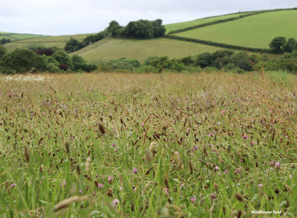 How-to-Guide-2-v1-1024x752