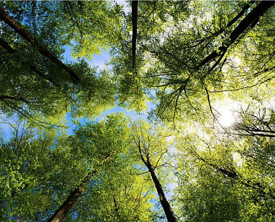 How-to-Guide-4-1024x825