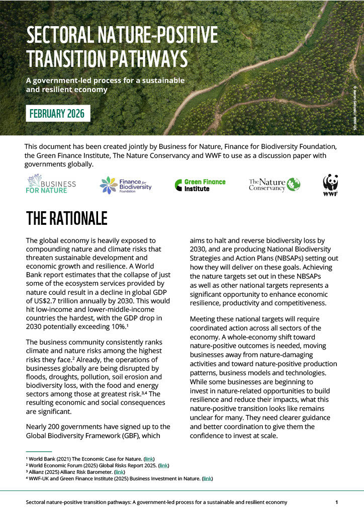 1771968108962-9d1d28c7-a658-4d83-a180-40c52a3e0f11_1-1024x1448