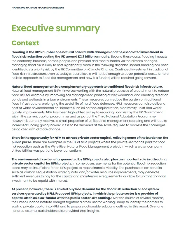 Exec-Summary-1024x1397