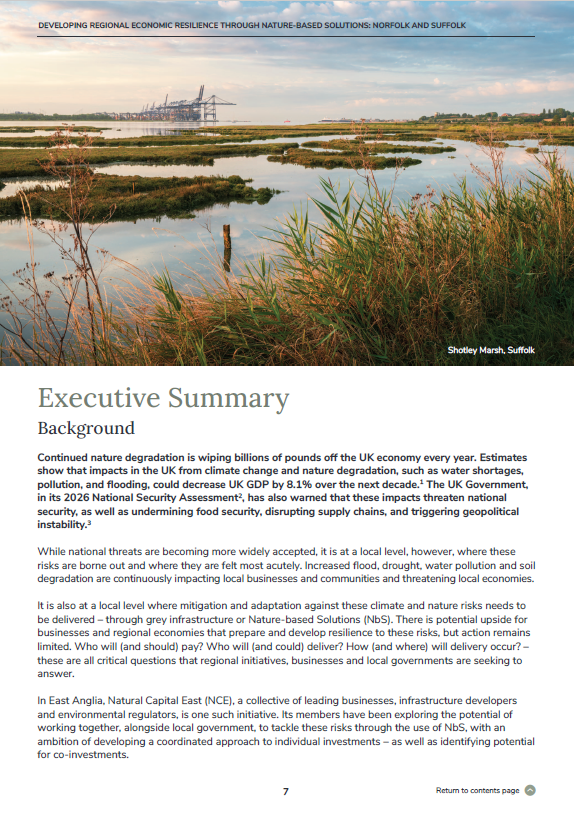 Screenshot-2026-03-18-163247-1024x1452