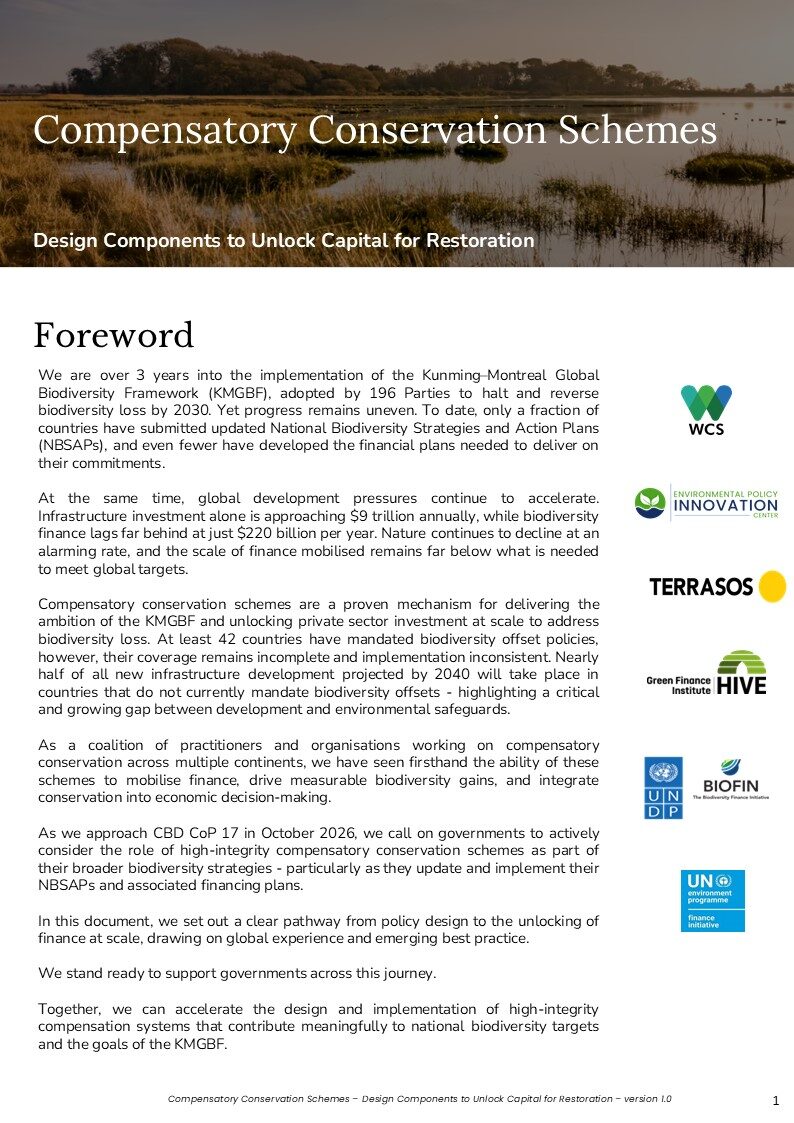 newC2S2-Framework-V1.0-1024x1448