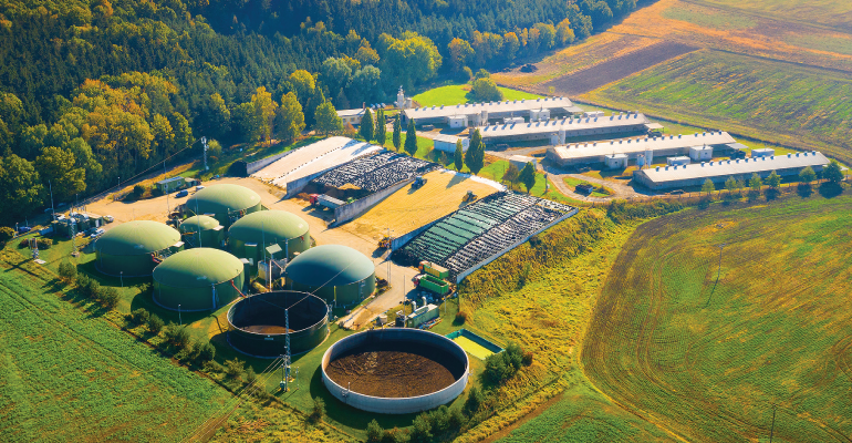 The-Role-of-Carbon-Markets-in-Financing-Carbon-Dioxide-Removals-770x400px-830x431