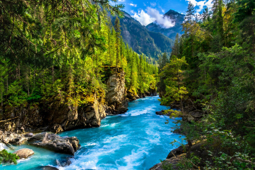 QA_iStock-2253460554-scaled-830x553