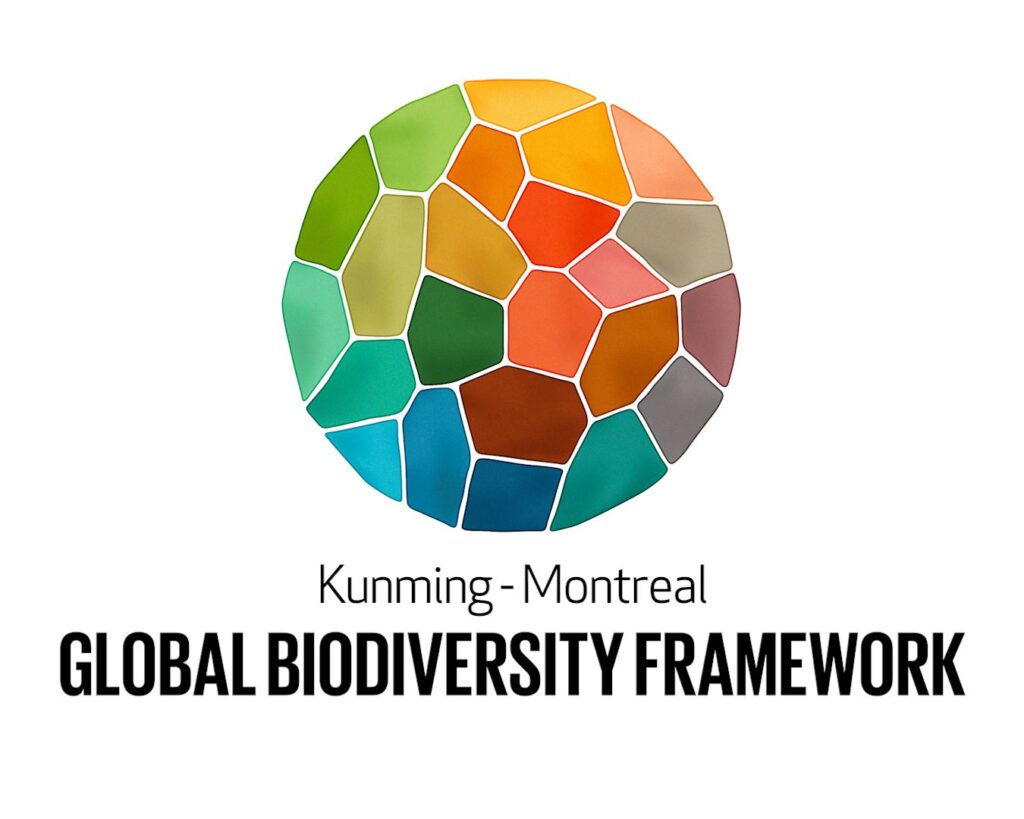 KMGBF-Logo-1-1024x819