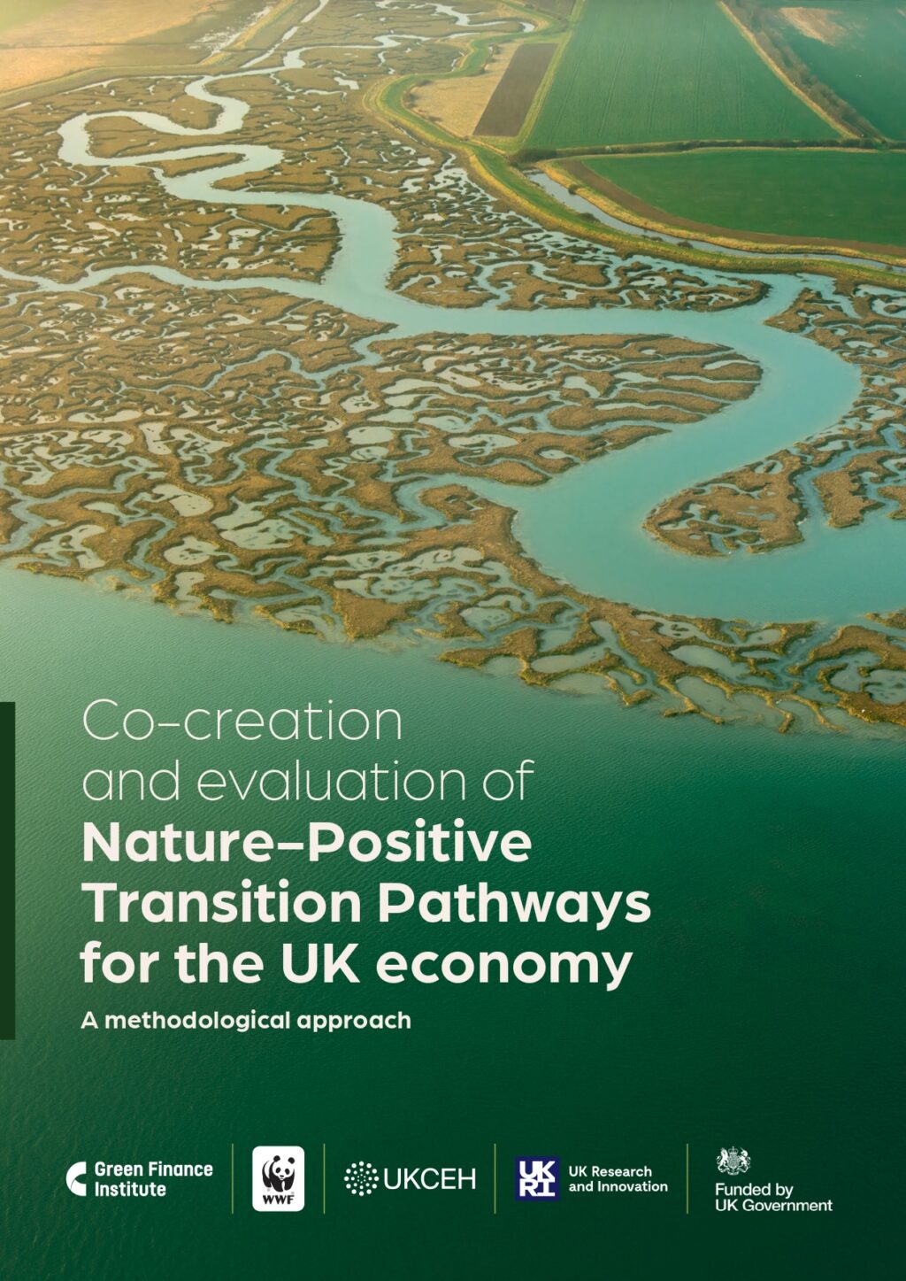 Nature-Positive-Transition-Pathways-Report-FV_page-0001-1024x1447