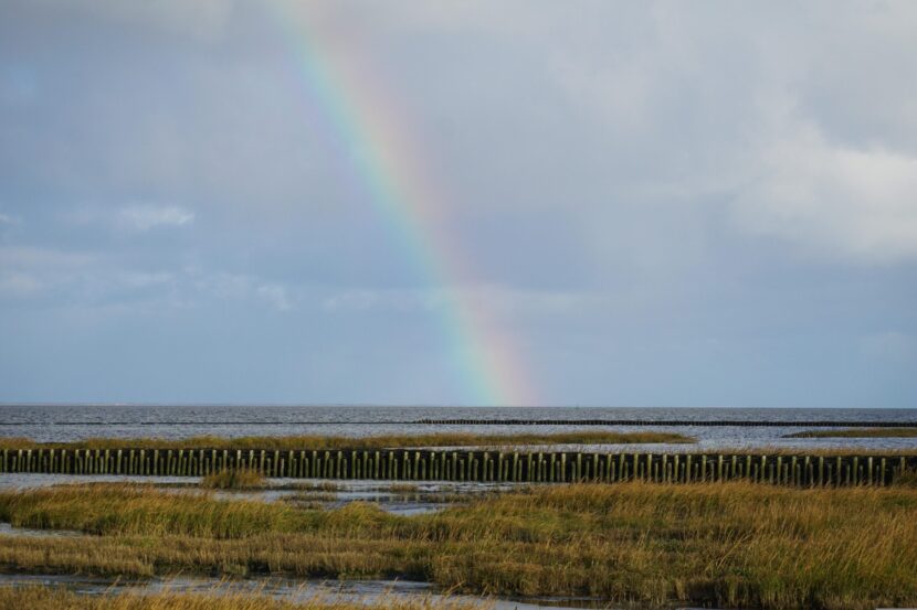 kranich17-rainbow-6832826-scaled-830x553