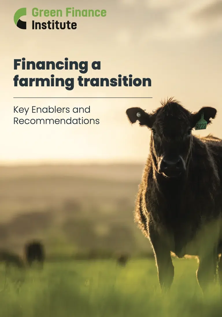 Screenshot-2023-03-28-at-09.06.32.png-1024x1459