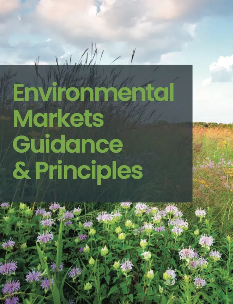 Screenshot-2023-03-28-at-09.18.56.png-1024x1338