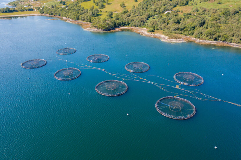 iStock-1333263218-scaled-830x553