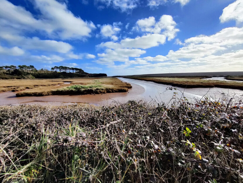 iStock-2148811840-scaled-830x623