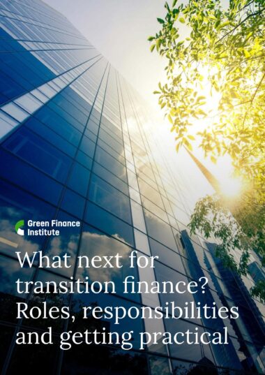 What-next-for-Transition-finance-002-images-0-scaled-380x537