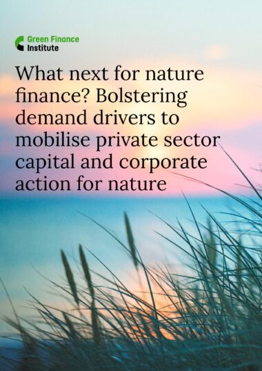 What-next-for-nature-finance-Bolstering-demand-drivers-to-mobilise-private-sector-capital-and-corporate-action-for-nature-images-0-scaled-380x537