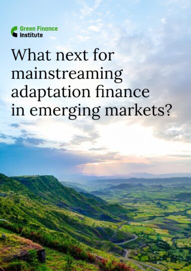 What-next-for-mainstreaming-adaptation-finance-in-emerging-markets-images-0-scaled-380x537