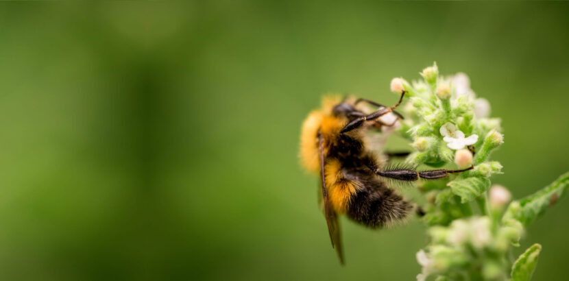 iStock-1226559309-wide-scaled-830x410