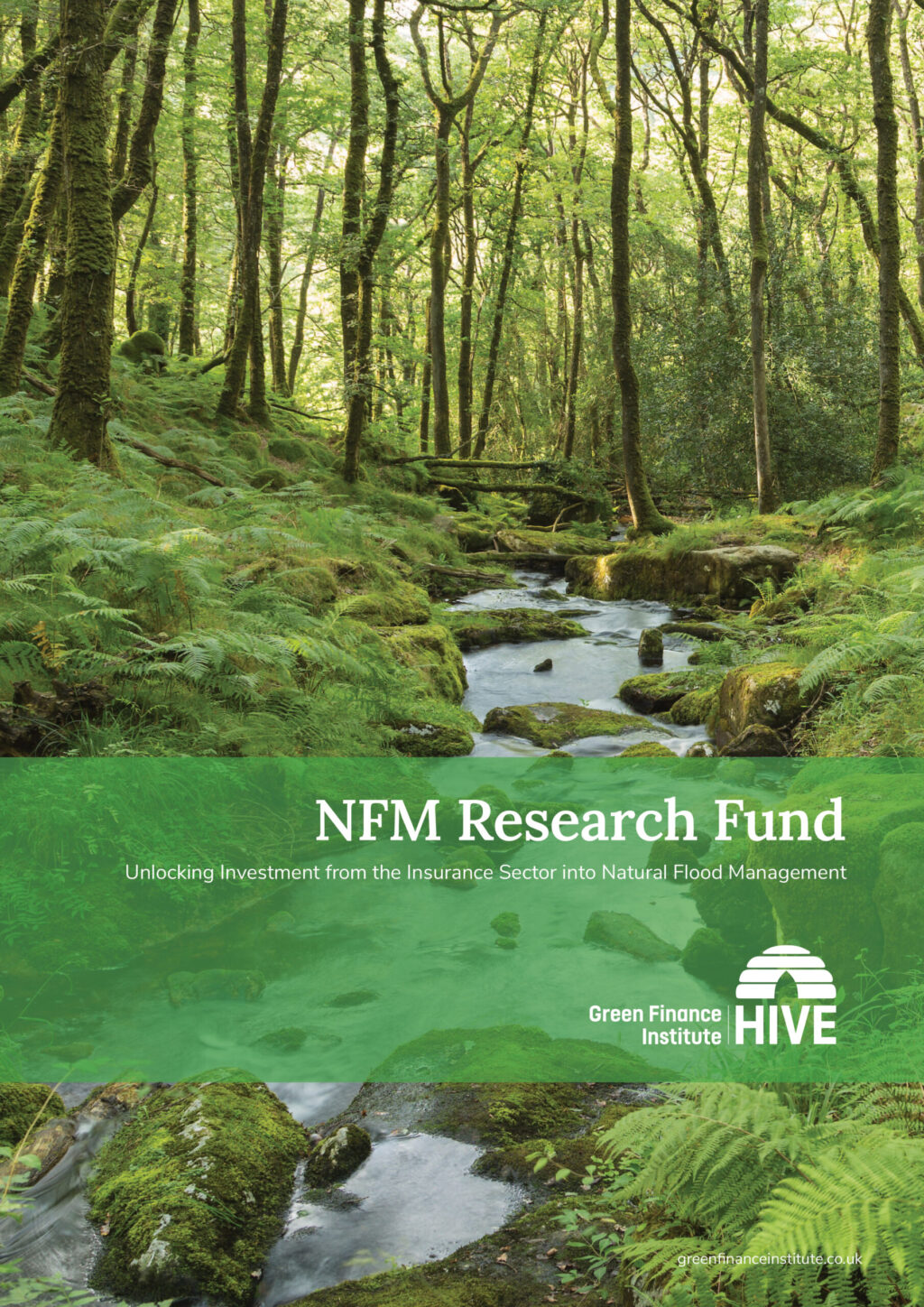 GFI-NFM-RESEARCH-FUND-1-scaled-1024x1448