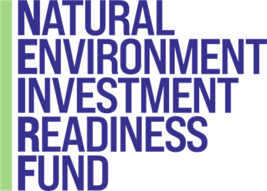 NEIRF-logo-1-1200x859