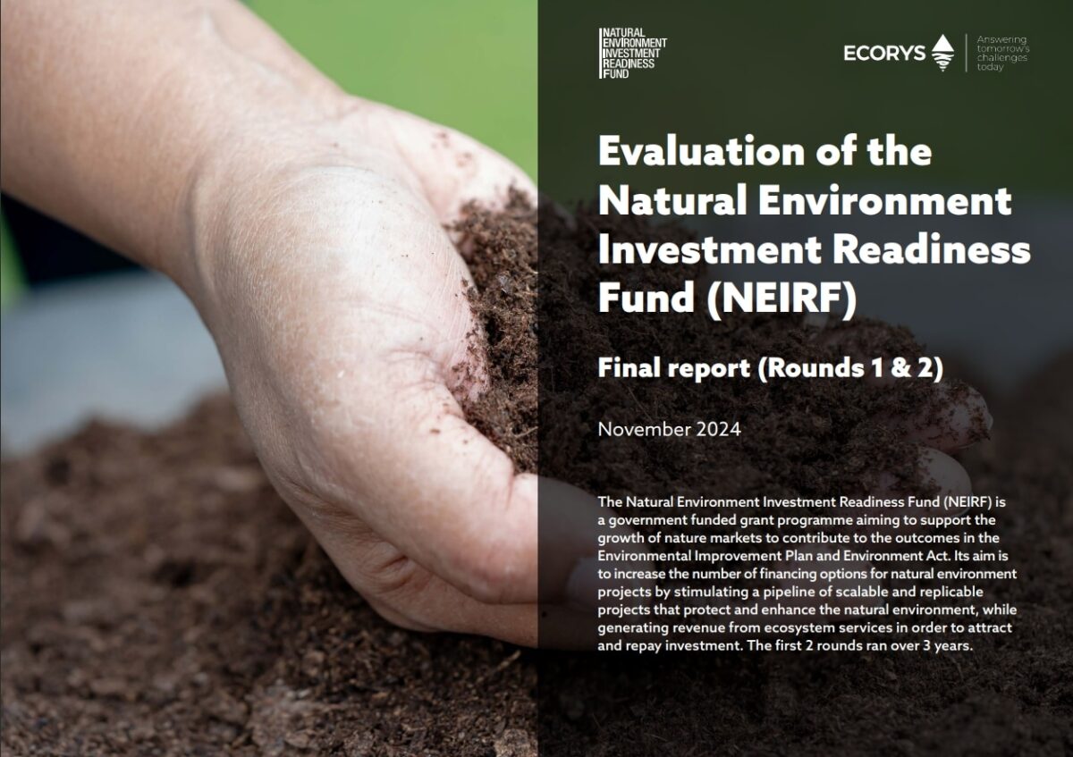 Screenshot_8-1-2025_191924_-1200x847