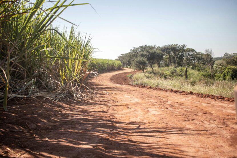 pexels-maumascaro-11942835-scaled-830x553