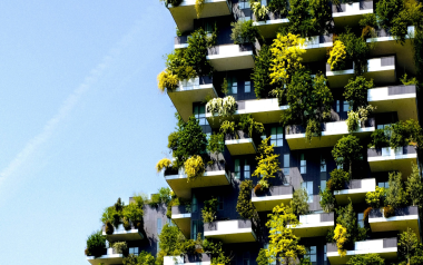 Image-380x238